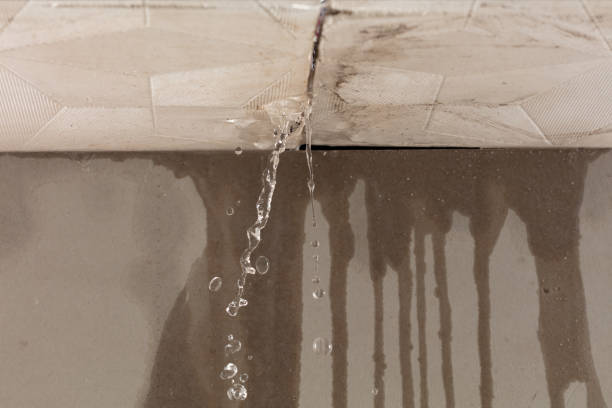 Professional Water Damage Inspection technician working in Breinigsville, PA